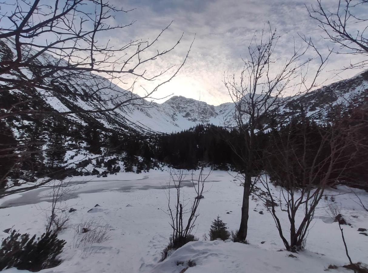 Western Tatras Slovakia Oravsky Biely Potok Dış mekan fotoğraf
